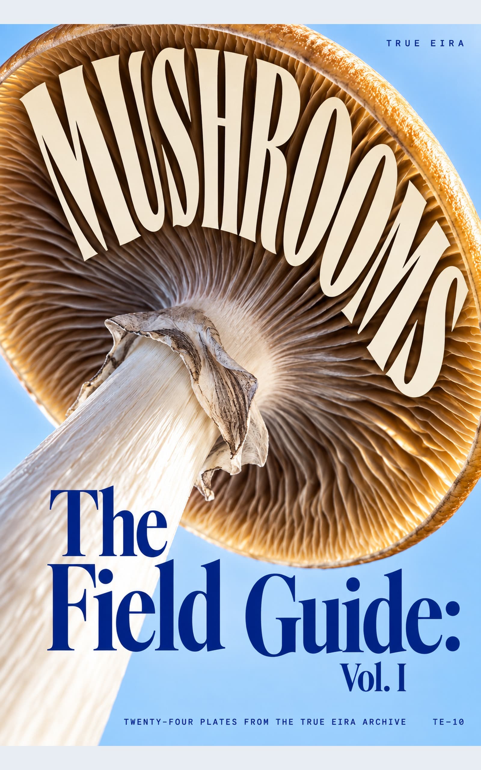 The Field Guide: Mushrooms, Vol. I cover