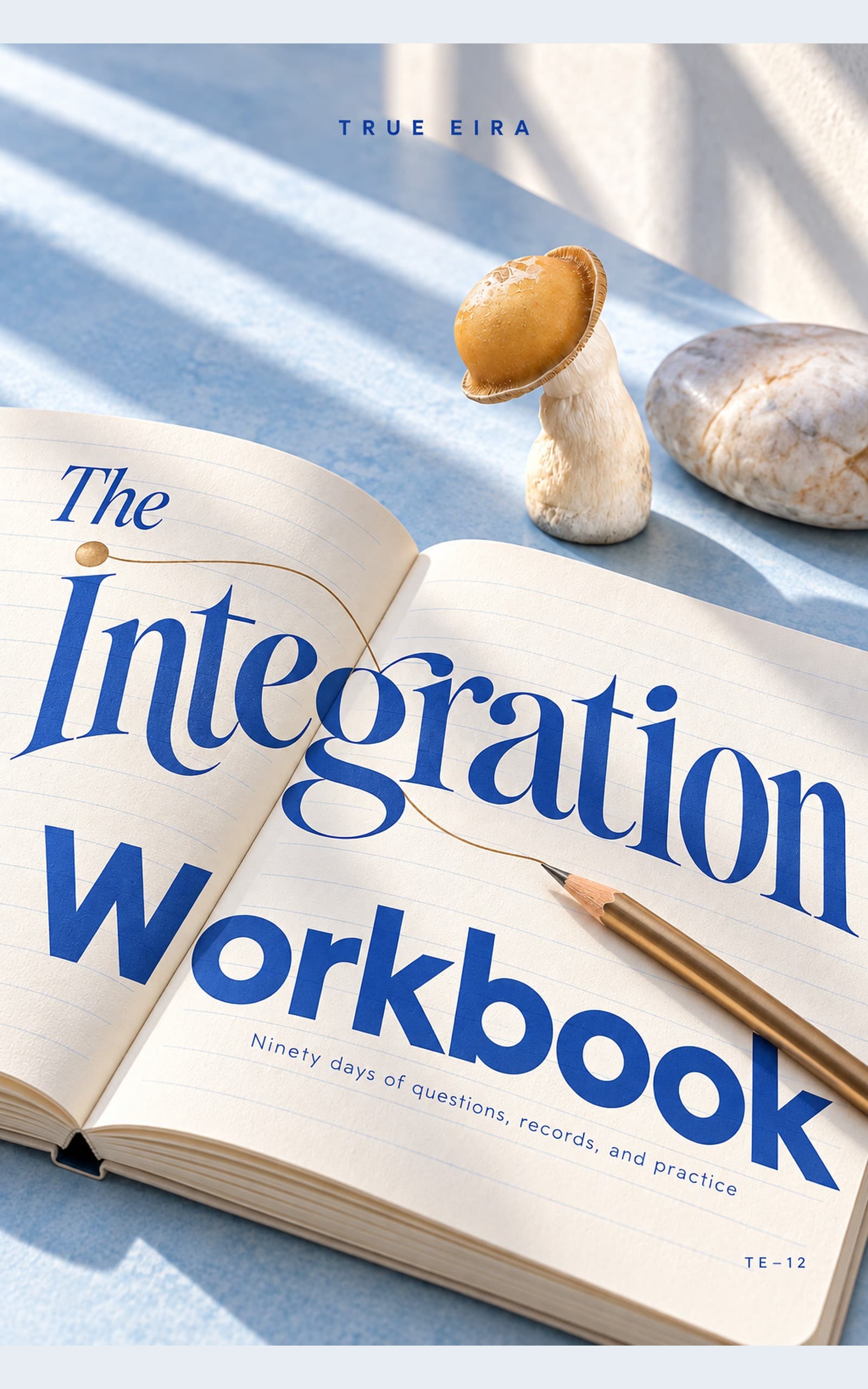 The Integration Workbook cover
