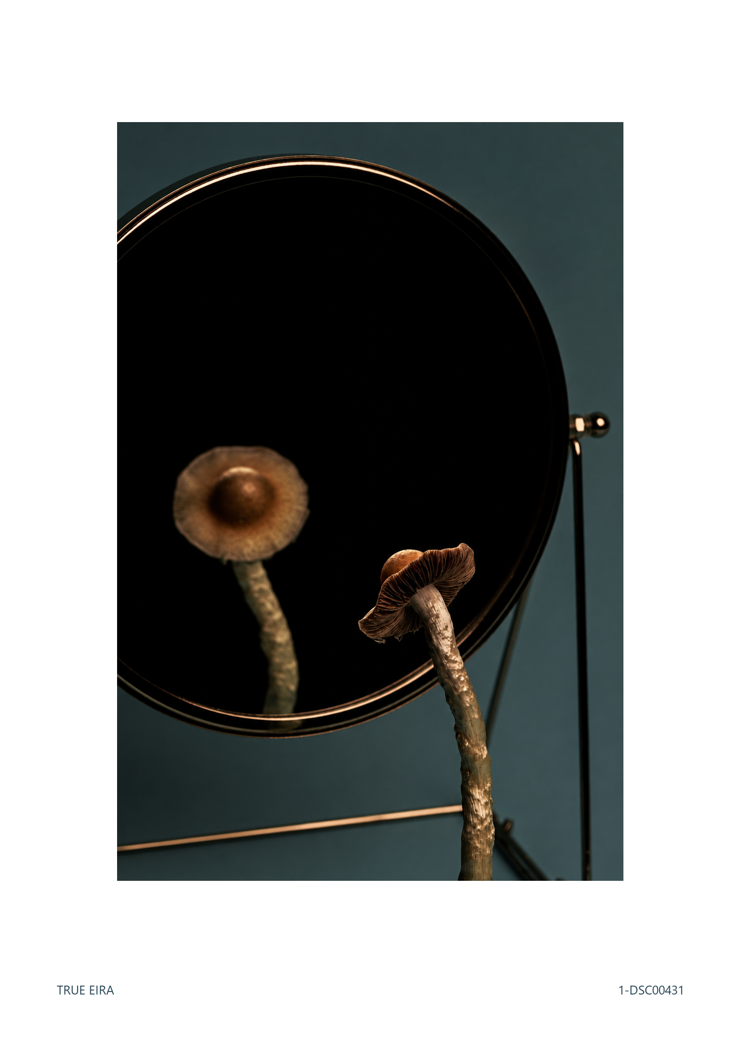Still life · 1-DSC00431 — exact white-bordered print