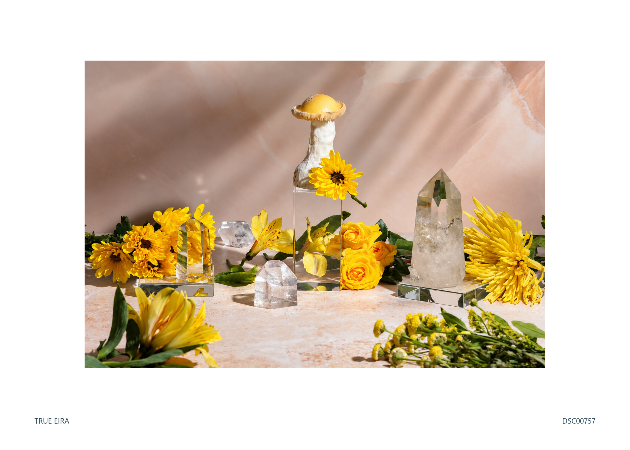 Still life · DSC00757 — exact white-bordered print
