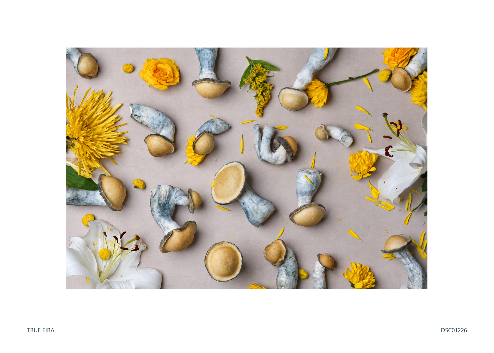 Still life · DSC01226 — exact white-bordered print