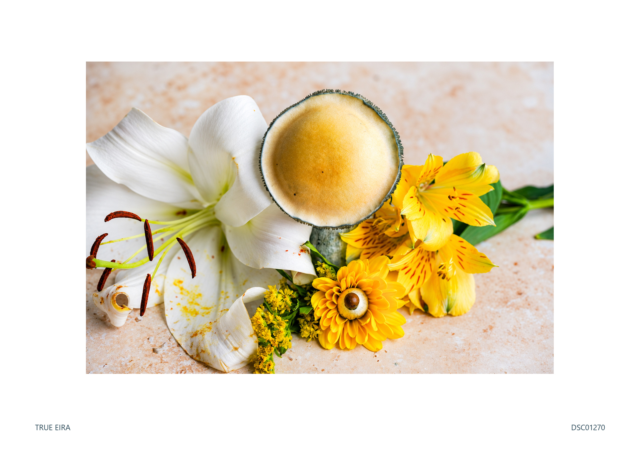 Still life · DSC01270 — exact white-bordered print