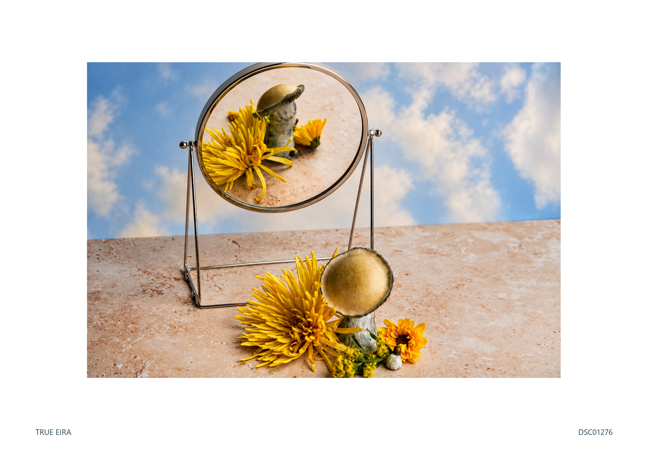 Still life · DSC01276 — exact white-bordered print