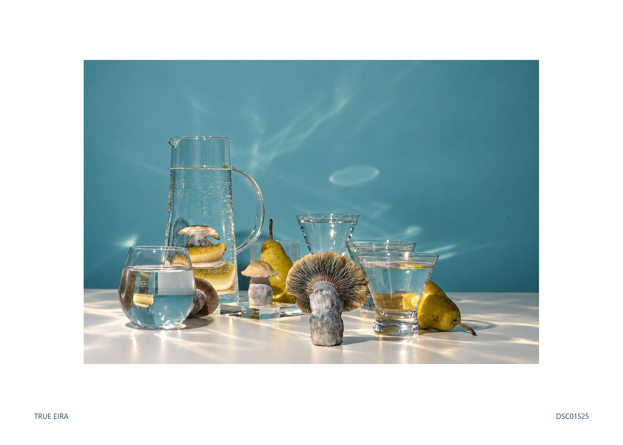 Still life · DSC01525 — exact white-bordered print