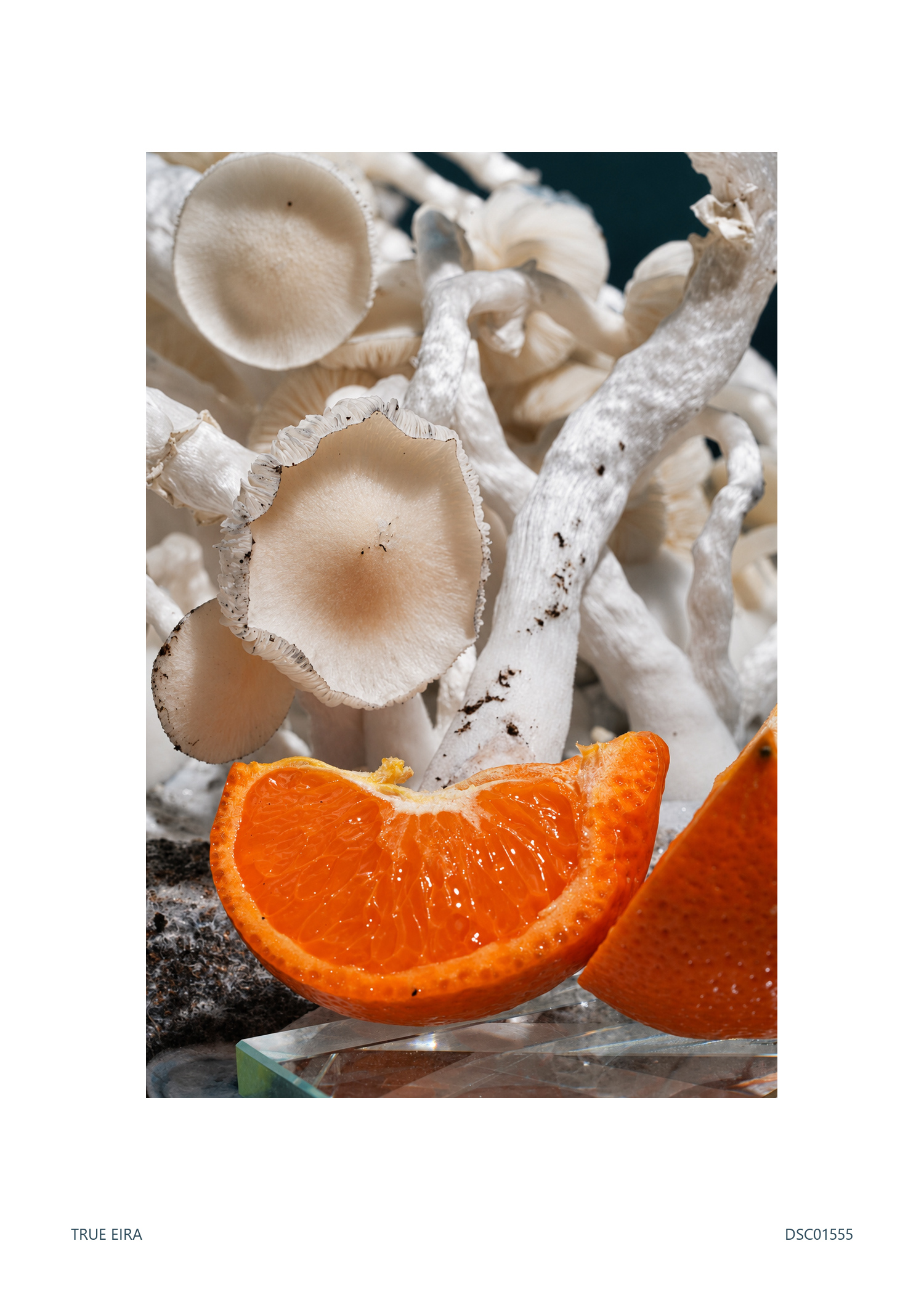 Still life · DSC01555 — exact white-bordered print