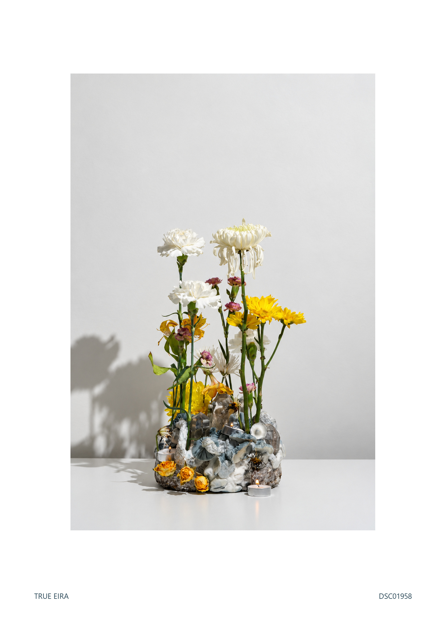 Still life · DSC01958 — exact white-bordered print