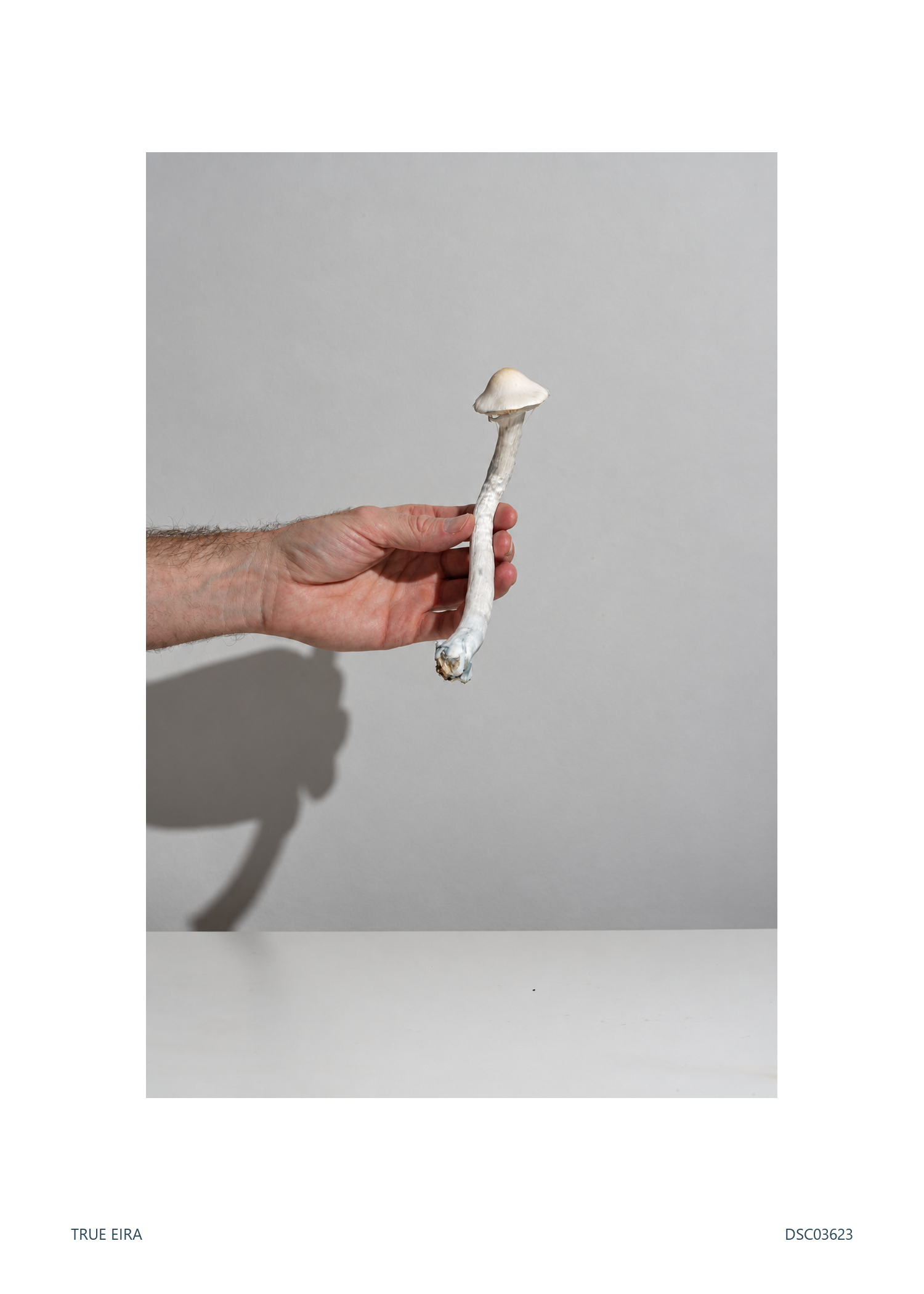 Human scale · DSC03623 — exact white-bordered print