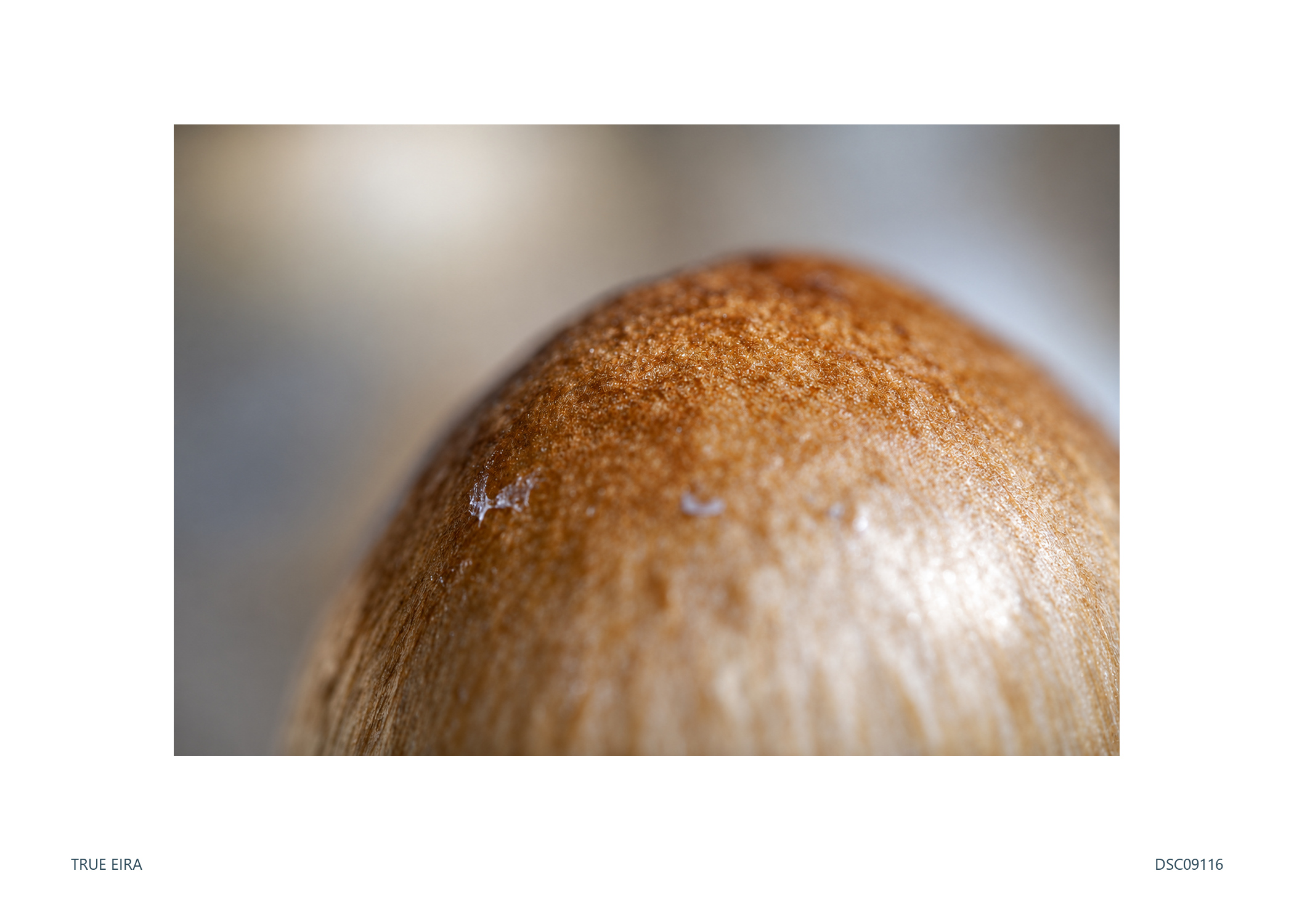 Texture study · DSC09116 — exact white-bordered print