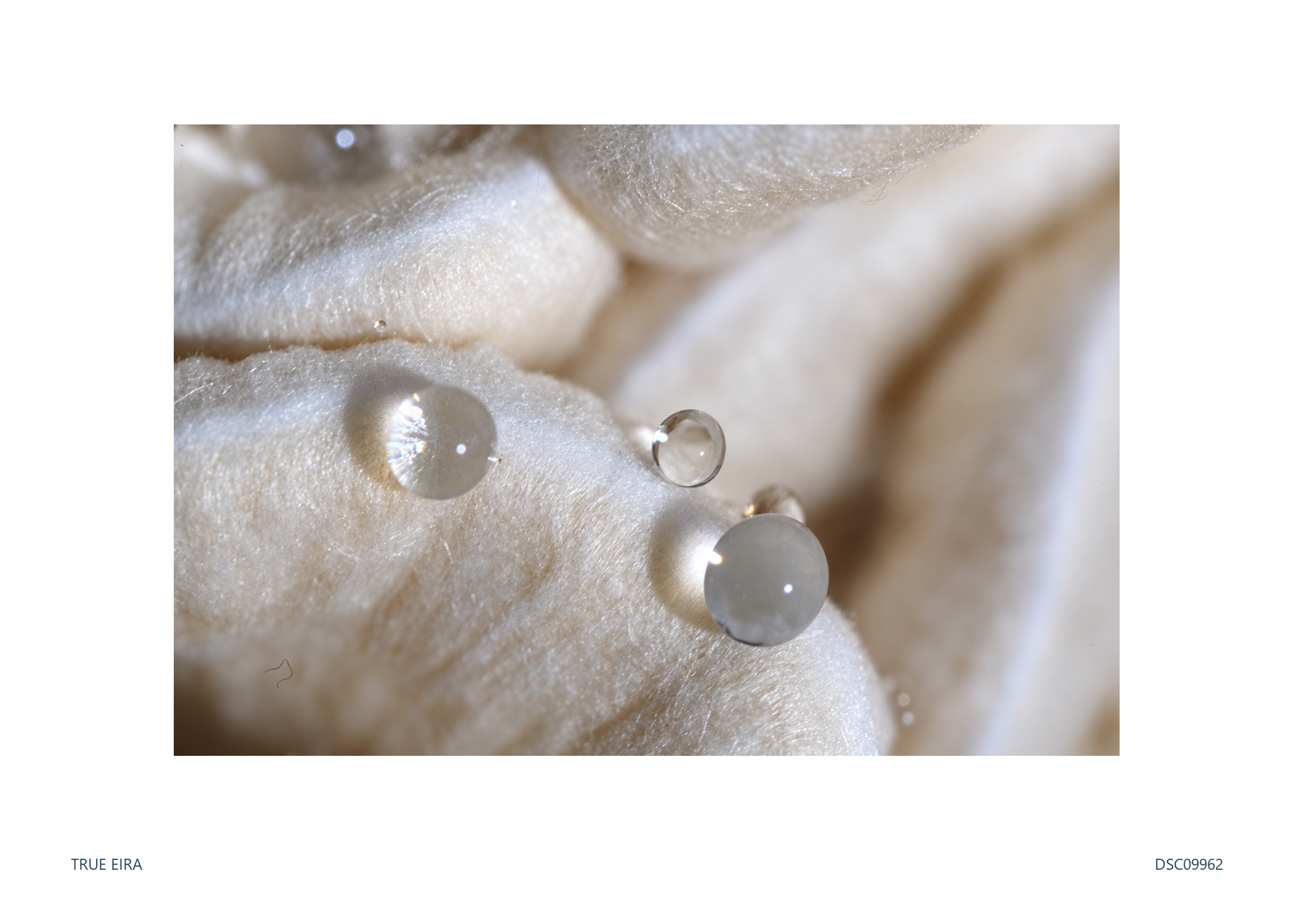 Texture study · DSC09962 — exact white-bordered print