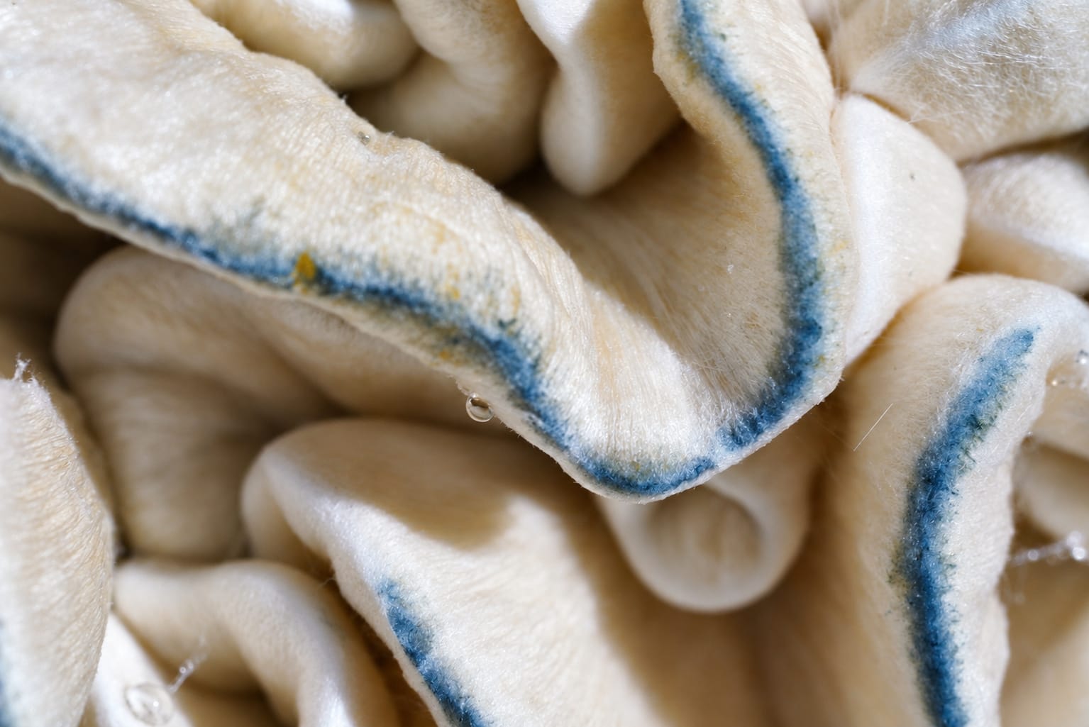 Texture study, photograph from the True Eira archive