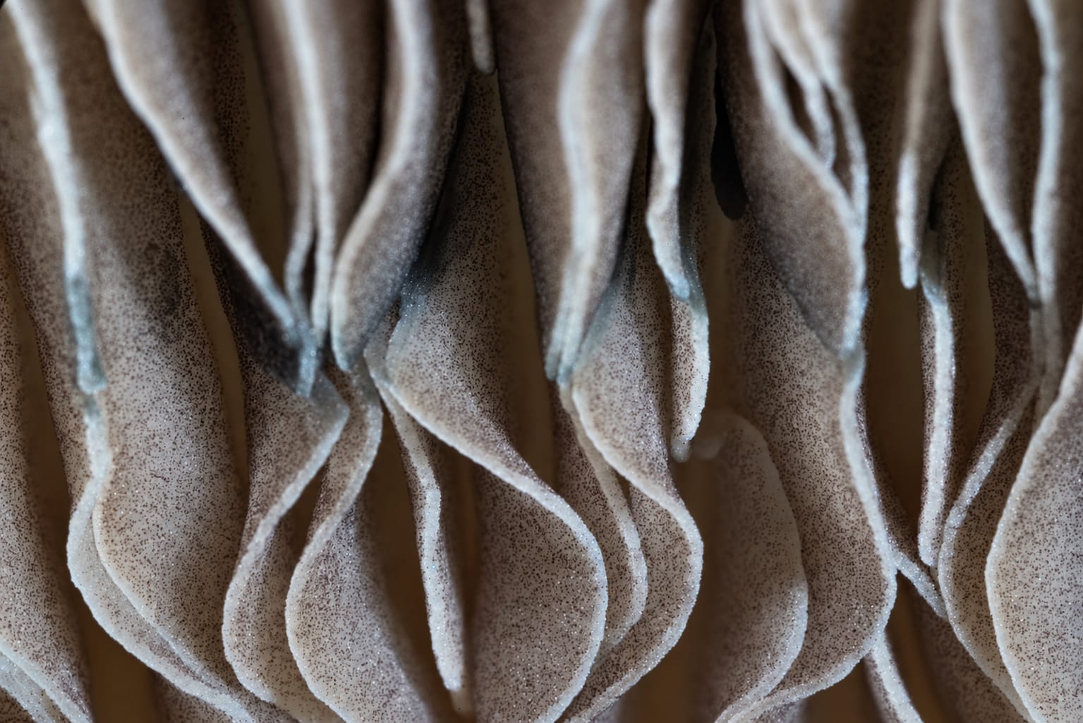 Texture study, photograph from the True Eira archive