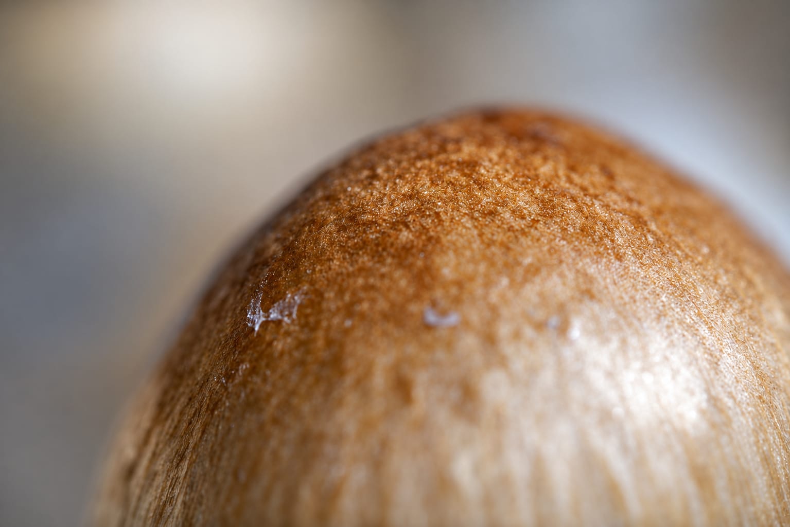 Texture study, photograph from the True Eira archive
