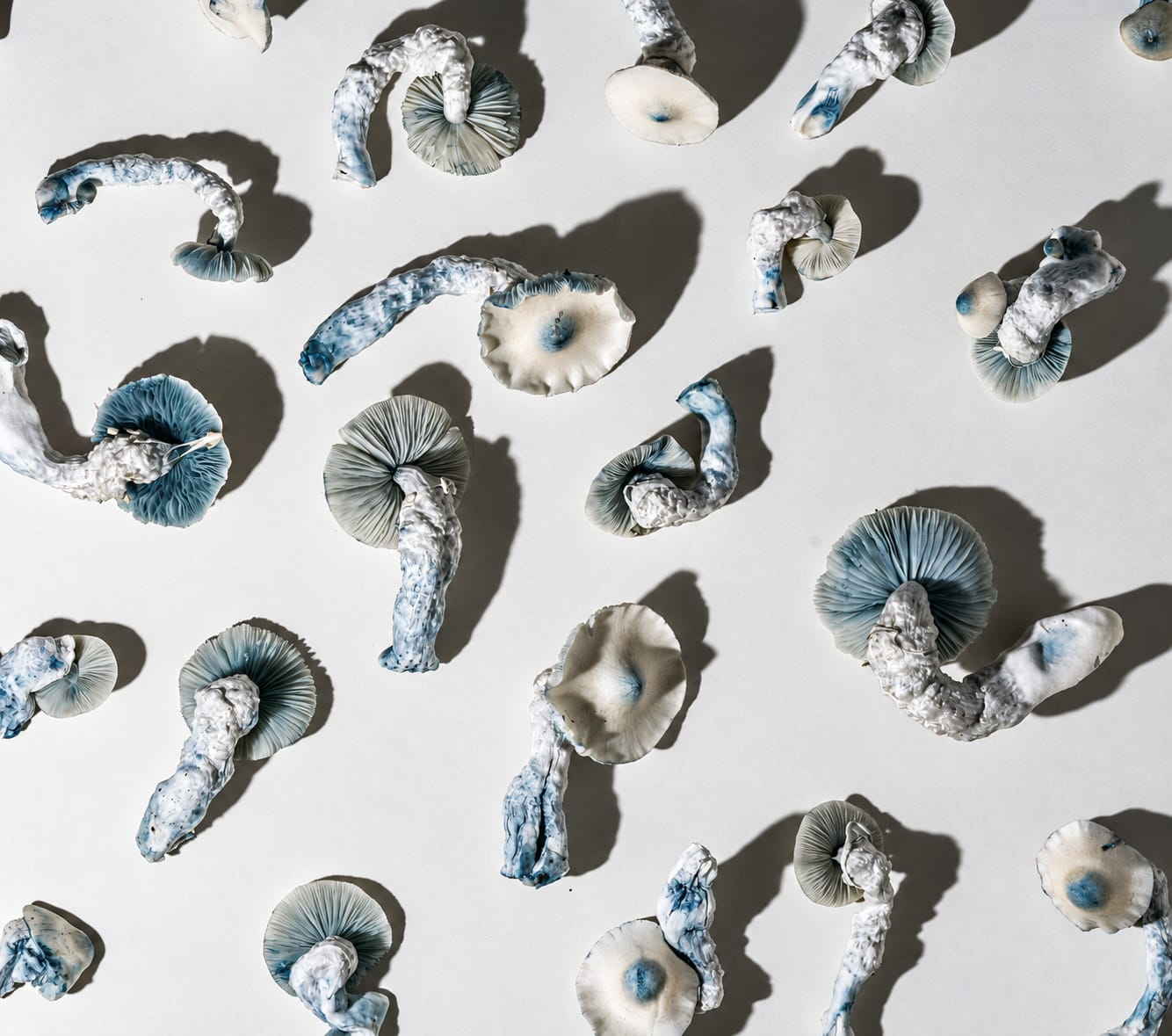 Pattern, photograph from the True Eira archive