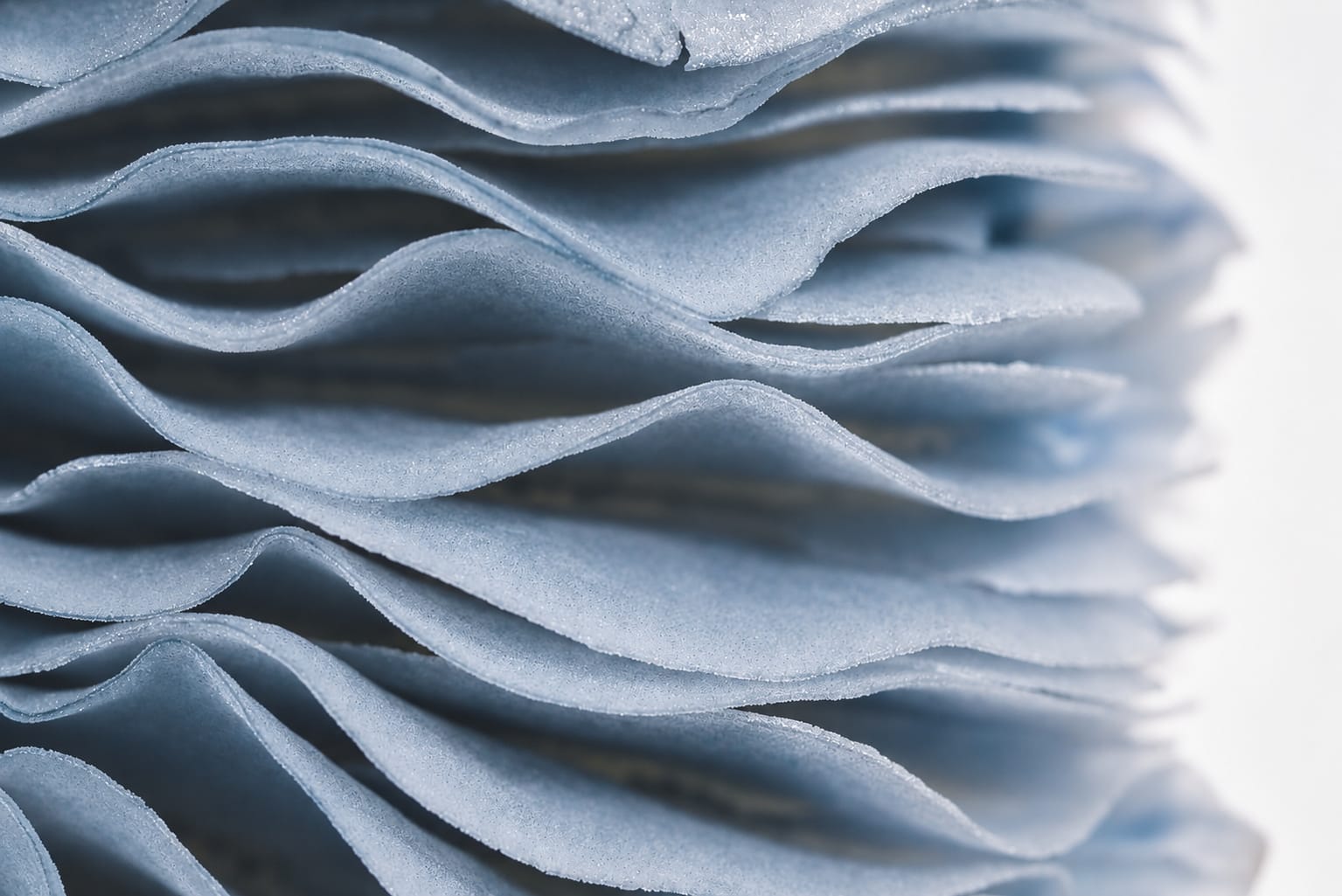 Gill study, photograph from the True Eira archive